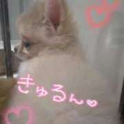 ヒメ日記 2025/10/19 09:07 投稿 みい 西東京市小平ちゃんこ