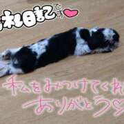 ヒメ日記 2025/11/07 07:43 投稿 みい 西東京市小平ちゃんこ