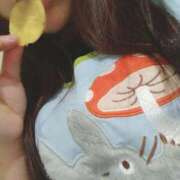 ヒメ日記 2025/12/19 13:52 投稿 みい 西東京市小平ちゃんこ