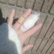 ヒメ日記 2026/01/05 13:53 投稿 みい 西東京市小平ちゃんこ