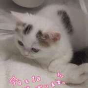 ヒメ日記 2026/01/08 06:09 投稿 みい 西東京市小平ちゃんこ