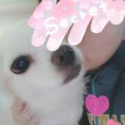 ヒメ日記 2026/02/01 23:30 投稿 みい 西東京市小平ちゃんこ