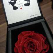 ヒメ日記 2026/03/19 08:37 投稿 みい 西東京市小平ちゃんこ