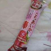 ヒメ日記 2026/03/24 13:18 投稿 みい 西東京市小平ちゃんこ