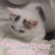 ヒメ日記 2026/03/24 23:50 投稿 みい 西東京市小平ちゃんこ