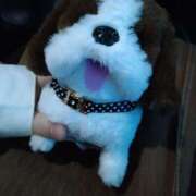 ヒメ日記 2026/03/29 12:16 投稿 みい 西東京市小平ちゃんこ