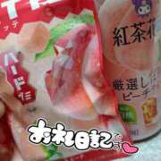 ヒメ日記 2026/03/30 10:17 投稿 みい 西東京市小平ちゃんこ