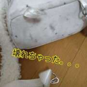 ヒメ日記 2026/03/30 17:58 投稿 みい 西東京市小平ちゃんこ