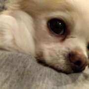 ヒメ日記 2026/04/02 18:26 投稿 みい 西東京市小平ちゃんこ