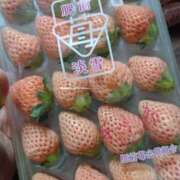 みい お礼 西東京市小平ちゃんこ