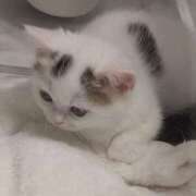 ヒメ日記 2026/04/19 04:31 投稿 みい 西東京市小平ちゃんこ