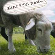 ヒメ日記 2026/04/28 10:31 投稿 みい 西東京市小平ちゃんこ