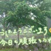 ヒメ日記 2026/05/14 08:30 投稿 みい 西東京市小平ちゃんこ