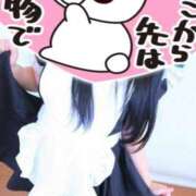 ヒメ日記 2026/06/08 18:23 投稿 みい 西東京市小平ちゃんこ