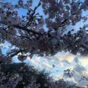 ヒメ日記 2026/04/03 16:01 投稿 ふぶき 西東京市小平ちゃんこ