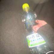 ヒメ日記 2025/04/20 21:37 投稿 のの 西東京市小平ちゃんこ