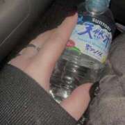 ヒメ日記 2025/05/15 01:38 投稿 のの 西東京市小平ちゃんこ