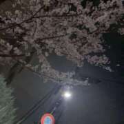 ヒメ日記 2026/03/28 23:10 投稿 のの 西東京市小平ちゃんこ