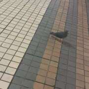 ヒメ日記 2026/08/15 20:32 投稿 のの 西東京市小平ちゃんこ
