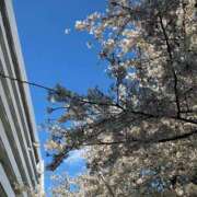 ヒメ日記 2025/04/04 16:50 投稿 はる 西東京市小平ちゃんこ