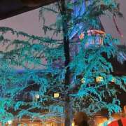 ヒメ日記 2025/04/26 02:20 投稿 はる 西東京市小平ちゃんこ