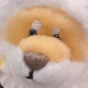 ヒメ日記 2025/04/29 21:55 投稿 はる 西東京市小平ちゃんこ