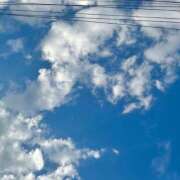 ヒメ日記 2025/06/04 17:36 投稿 はる 西東京市小平ちゃんこ