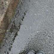 ヒメ日記 2025/06/10 15:32 投稿 はる 西東京市小平ちゃんこ