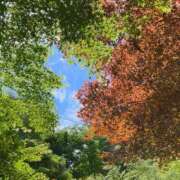 ヒメ日記 2025/06/18 19:28 投稿 はる 西東京市小平ちゃんこ