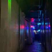 ヒメ日記 2025/06/22 04:26 投稿 はる 西東京市小平ちゃんこ