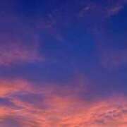 ヒメ日記 2025/06/23 08:52 投稿 はる 西東京市小平ちゃんこ