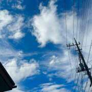 ヒメ日記 2025/06/25 16:18 投稿 はる 西東京市小平ちゃんこ