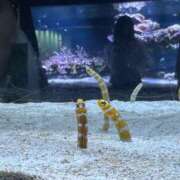 ヒメ日記 2025/07/04 15:54 投稿 はる 西東京市小平ちゃんこ