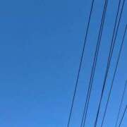 ヒメ日記 2025/07/06 10:08 投稿 はる 西東京市小平ちゃんこ