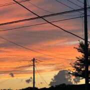 ヒメ日記 2025/08/11 15:46 投稿 はる 西東京市小平ちゃんこ