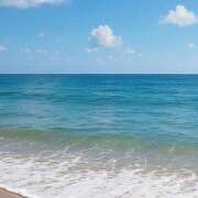 ヒメ日記 2025/10/03 16:56 投稿 はる 西東京市小平ちゃんこ