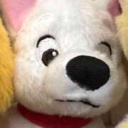 ヒメ日記 2025/10/09 18:08 投稿 はる 西東京市小平ちゃんこ