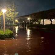 ヒメ日記 2025/10/14 21:19 投稿 はる 西東京市小平ちゃんこ