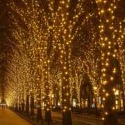 ヒメ日記 2025/11/06 13:58 投稿 はる 西東京市小平ちゃんこ