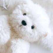 ヒメ日記 2025/11/09 18:20 投稿 はる 西東京市小平ちゃんこ