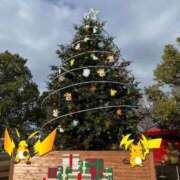 ヒメ日記 2025/12/29 18:06 投稿 はる 西東京市小平ちゃんこ