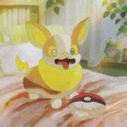 ヒメ日記 2026/01/23 17:16 投稿 はる 西東京市小平ちゃんこ