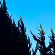 ヒメ日記 2026/02/19 16:43 投稿 はる 西東京市小平ちゃんこ