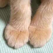 ヒメ日記 2026/02/23 12:17 投稿 はる 西東京市小平ちゃんこ