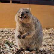 ヒメ日記 2026/04/05 14:21 投稿 はる 西東京市小平ちゃんこ