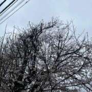 ヒメ日記 2025/04/01 22:01 投稿 もえの 西東京市小平ちゃんこ