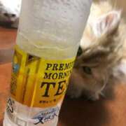 ヒメ日記 2025/11/12 01:01 投稿 もえの 西東京市小平ちゃんこ