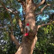 ヒメ日記 2025/12/22 02:06 投稿 もえの 西東京市小平ちゃんこ