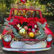 ヒメ日記 2025/12/26 19:45 投稿 もえの 西東京市小平ちゃんこ