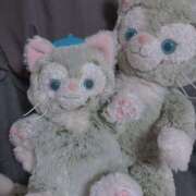 ヒメ日記 2025/07/04 17:19 投稿 そら 西東京市小平ちゃんこ